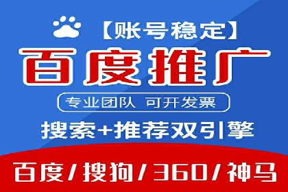 行业领先的SEM推广代运营公司案例集锦